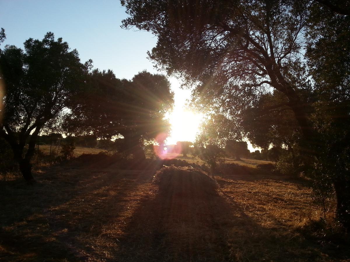 לינה וארוחת בוקר קרוביניו The Proud Garden מראה חיצוני תמונה