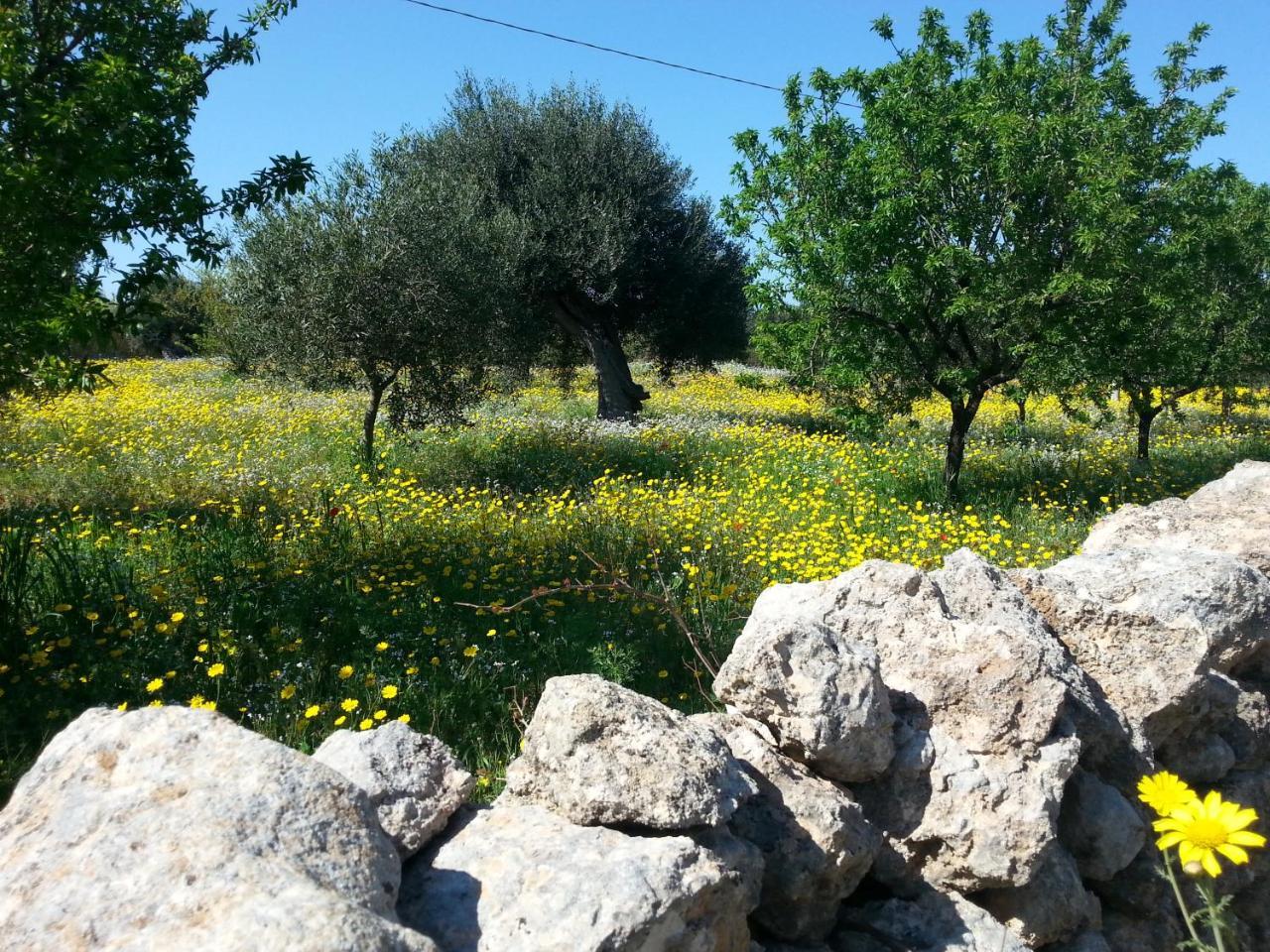 לינה וארוחת בוקר קרוביניו The Proud Garden מראה חיצוני תמונה
