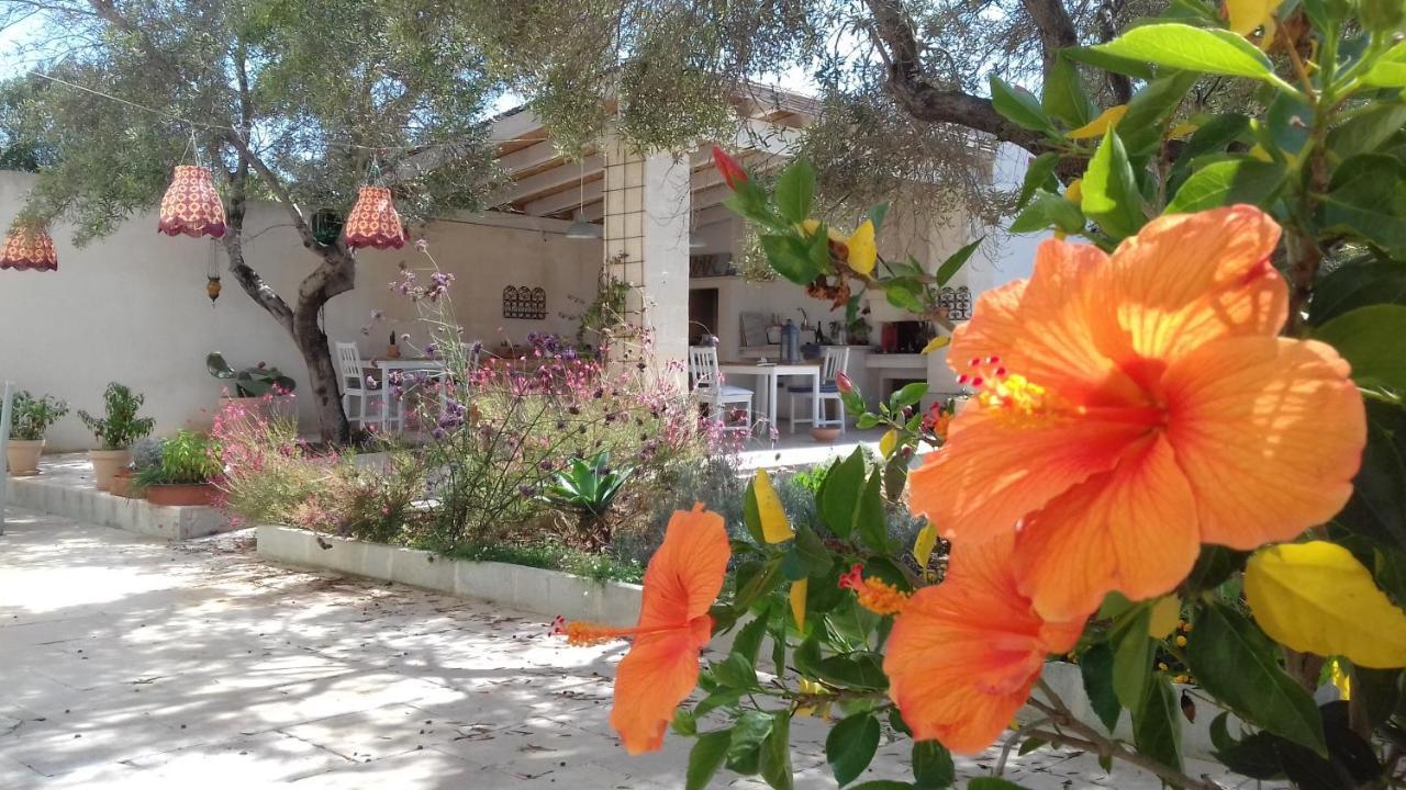 לינה וארוחת בוקר קרוביניו The Proud Garden מראה חיצוני תמונה